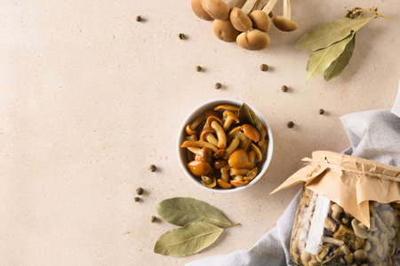 Pickled honey mushrooms served in bowl with bay leaf.の写真素材