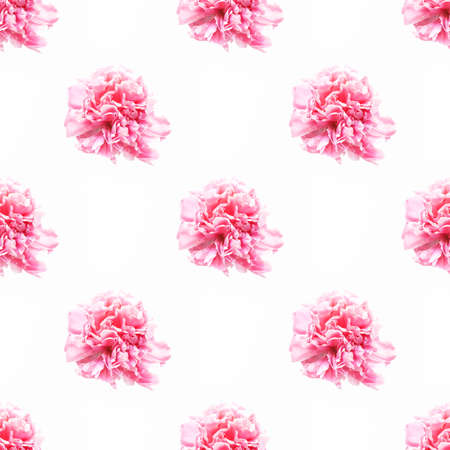 Seamless pattern of pink peony flowers on white background.