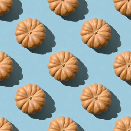 Seamless pattern of pumpkins with shadow on blue background. Autumn harvest eco concept.