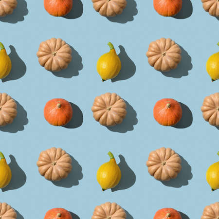 Seamless pattern of different colorful pumpkins with shadow on blue background. Autumn harvest eco concept. Thanksgiving day.の写真素材