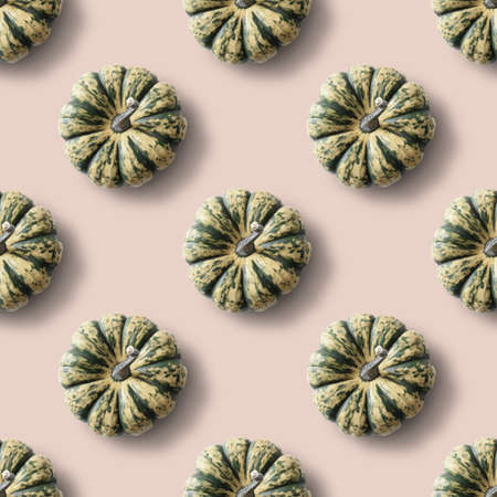 Seamless pumpkin pattern on pink background. Autumn harvest eco concept.