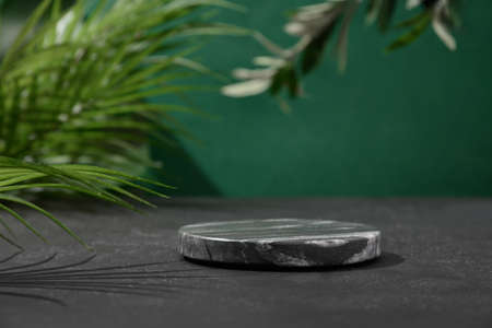 Podium for cosmetic products in modern composition with black marble stand with tropical leaves on green background with shadow.の写真素材