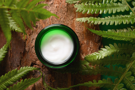 Cosmetic face cream products in open green glass jar with natural ingredients decorated fresh fern leaves and wood bark. View from above. Close up.の写真素材