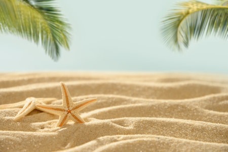 Summer vacation background with starfishes on sand and sunny tropical beach with palm leaves. Copy space. Close up.の写真素材