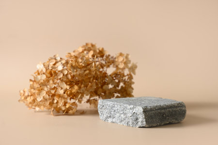 Gray stone as podium for eco products and dry hydrangea flowers on beige background. Natural earthy colors. Copy space.の写真素材