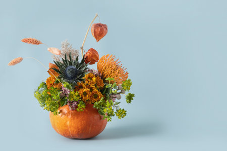 Autumn creative bouquet with different orange and yellow flowers in pumpkin as vase on blue background for Thanksgiving Day. DIY. Copy space. Beautiful floral composition.の写真素材