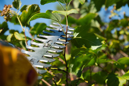 Electricity garden scissors. Trimming bush work in the garden. Close up. Season work. Outdoors.の写真素材