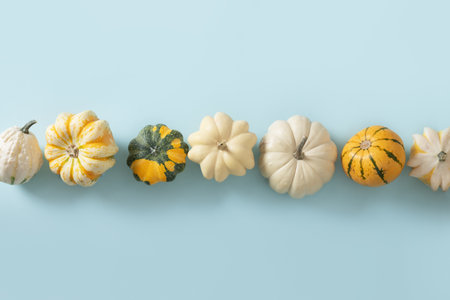 Autumn white and green pumpkins in row on blue background for Thanksgiving day or Halloween. View...