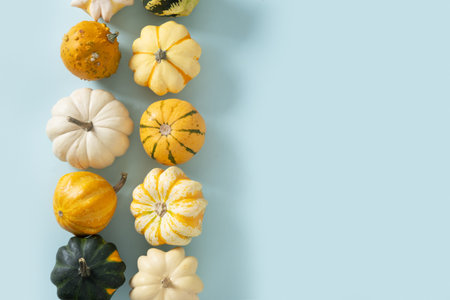 Autumn frame of colorful small decorative pumpkins on blue background. Harvest day concept. View from above. Thanksgiving Day. Copy space.の写真素材