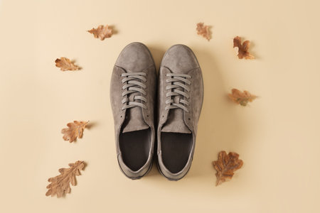 Autumn sale concept. New classic sports mens gray sneakers for cold fall season and dry oak leaves...