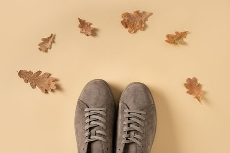 Autumn sale concept. New classic sports mens gray nubuck leather sneakers for cold fall season and dry oak leaves around on beige background. View from above.の写真素材