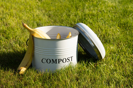 Sorted kitchen waste in compost bucket with peel vegetables on green lawn. Outdoors. Ecosystem....