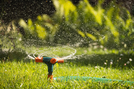 Garden sprinkler on sunny day during watering green lawn in garden. Automatic smart irrigation system. Summer season. Close up.の写真素材
