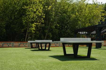 Outdoor table tennis tables in park