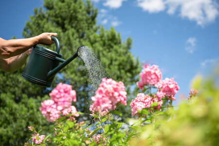 Green watering can standing on fresh grass in beautiful backyard garden with lush plants and copy space. Gardening equipment for home landscaping and plant care.
