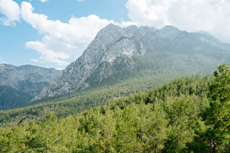 mountains with forest and blue sky and white cloudsの写真素材
