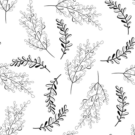 Vector seamless outline leaves pattern. Black and white background. Nature illustration.の写真素材