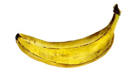 watrcolor banana isolated on white backgroundの写真素材