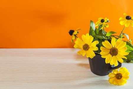 Floral festive background. Yellow bright garden flowers in a ceramic cup on an orange background with copy space.の写真素材