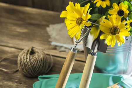 Gardening. Hobby. Planting and replanting plants. A bouquet of yellow bright garden flowers in a steel bucket and garden tools on a wooden background in rustic style with a copy space.の写真素材