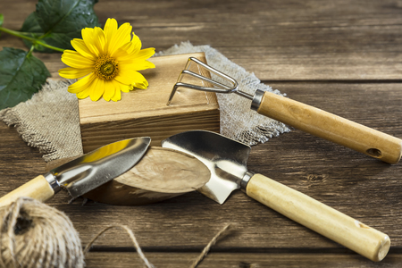 Gardening. Hobby. Planting and transplanting plants. Yellow garden flower, twine for decor and garden tools on a wooden background in rustic style with copy spaceの写真素材