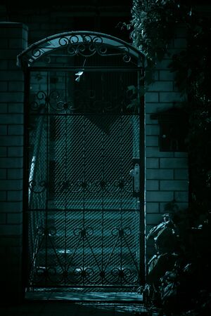 Horror, fear and darkness, a ghost house. A gloomy door and a fence, a black iron gate to the courtyard and a staircase to the basement in the mystical night light of the moon with eerie strange shadowsの写真素材