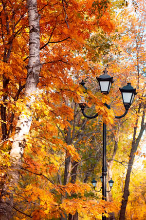 Autumn natural background with lantern lamp with texture of yellow foliage of rowan and birch leaves in warm sunbeams in good weather in the season of leaf fall in September October in the parkの写真素材