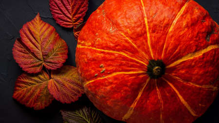 Orange Pumpkins on Food Background black, Thanksgiving autumn bright colors still life Flat layの写真素材