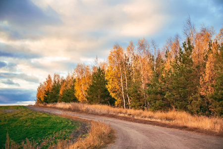Road in the Field, Autumn Concept, Natural Background, Dramatic Sky, Orange Yellow Dawn, Forest with Golden Leaves, Sunrise over the Horizon, Travel through the Saratov regionの写真素材