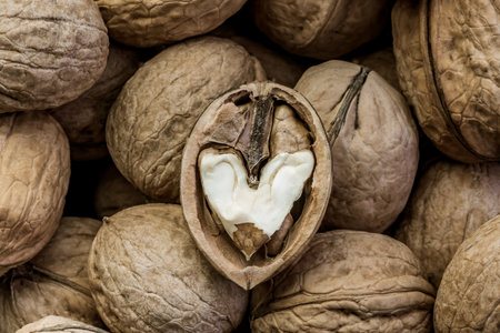 Food background with the texture of whole and heart-shaped fruits walnuts in shell, healthy diet nutrition, a source of omega-3 fats proteins, vitamins EA and B, beneficial for cardiovascular systemの写真素材