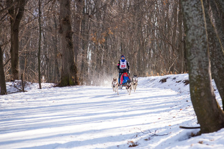 Saratov, Russia - 02.29.2020: Active recreation on the snow, hobbies, winter sports, healthy...