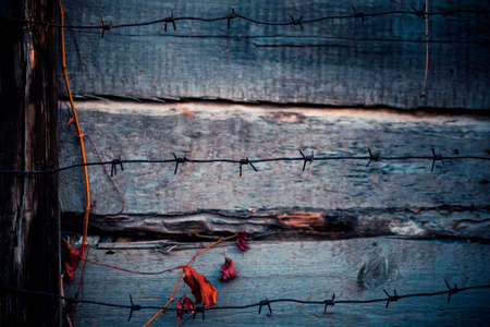 Horror background with grunge texture with black shadows and glow, strange scary dark wooden...