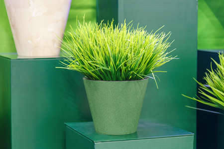 Artificial potted plant on the shelf, indoor flower, interior and home decor detail.の写真素材
