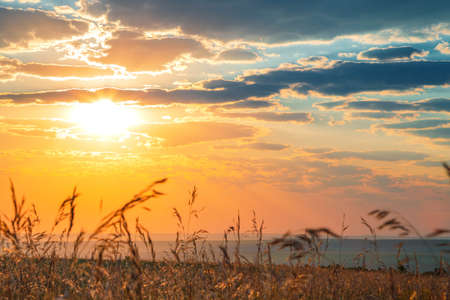 Dawn in a field over the horizon in summer. The sun in the blue autumn sky with clouds. Landscape with golden yellow orange sunset at dusk in the meadows of the Saratov region in Russia.の写真素材
