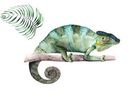 The green chameleon on the branch is large. Watercolor illustration of a lizard on a white background.の写真素材