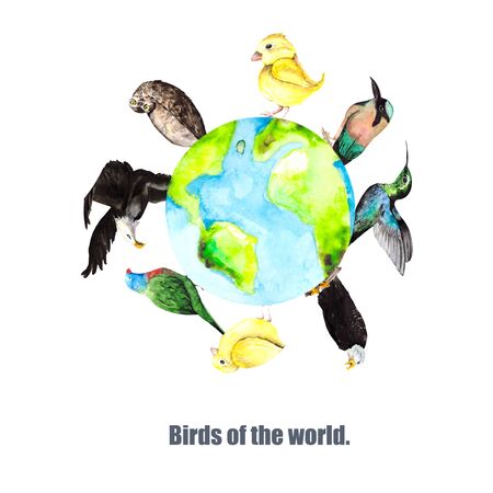 Watercolor illustration of the planet Earth and the birds that inhabit it: chickens, parrots, eagles, owls and hummingbirds. Bright birds, drawing reflecting the beauty and diversity of the world.の写真素材