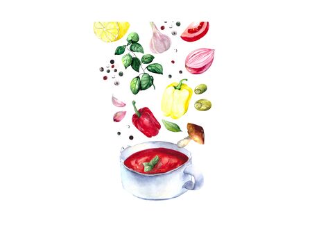 Botanical composition with vegetables and spices on the theme of recipes, food preparation and healthy nutrition. Watercolor illustration of a Cup of soup and its ingredients: tomatoes, onions, garlic, pepper, Basil, lemon, mushrooms.の写真素材