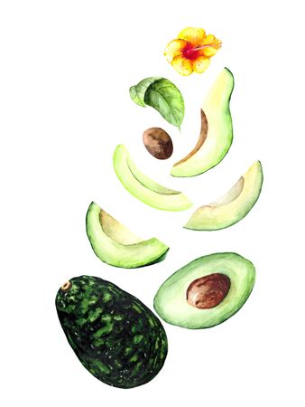 A beautiful composition of a ripe whole avocado and its pieces of different sizes decorated with a yellow tropical flower. Watercolor illustration of a green vegetable for a design on the theme of food and the benefits of vitamins.の写真素材