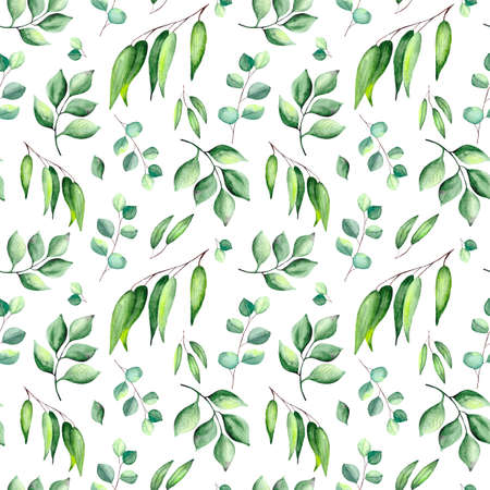 Seamless pattern with green leaves and eucalyptus on a white background. Watercolor background for textiles, wallpaper, packaging and bed linen.の写真素材