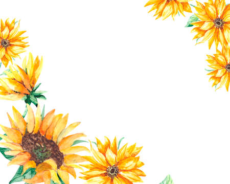 Watercolor frame with yellow sunflowers and green leaves on a white background. A bright botanical composition for postcards, posters, invitations with space for text.の写真素材
