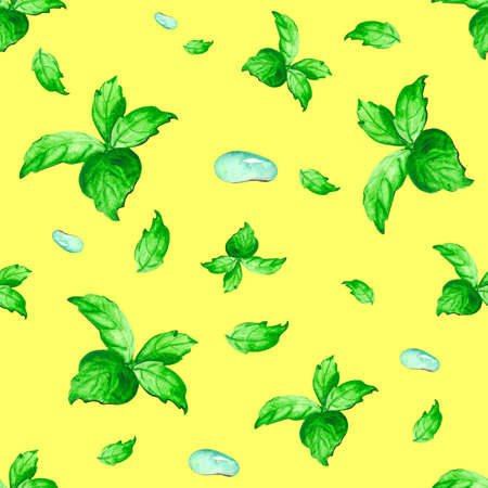 Seamless pattern with green mint leaves and turquoise drop. Watercolor drawing of green seasoning for textiles, wallpaper, packaging and bed linen.の写真素材