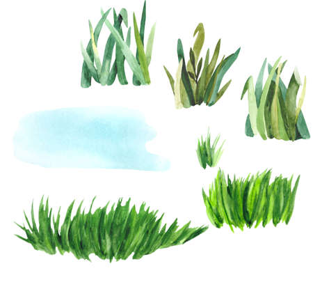 Collection of green juicy grass isolated on a white background. Handmade watercolor botanical drawing for design on the theme of nature, biology and summer.の写真素材