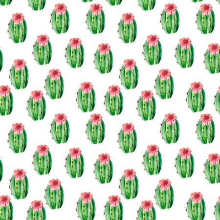 Seamless pattern with green juicy oval-shaped cacti and delicate pink flowers. Bright desert-themed illustration for Botanical backgrounds, textiles, Wallpaper, packaging, bedding, and stationery.の写真素材