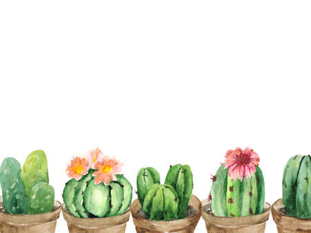 Collection of green cacti in pots with flowers. Watercolor drawing on a white background for the design of postcards, invitations, stationery and textiles.の写真素材