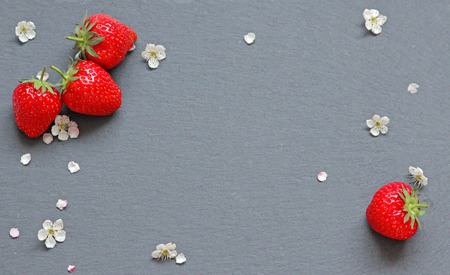 Strawberries and flower petals on grey slateの写真素材