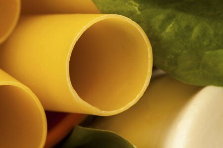 Cannelloni, ricotta and spinach leaves, raw food closeupの写真素材
