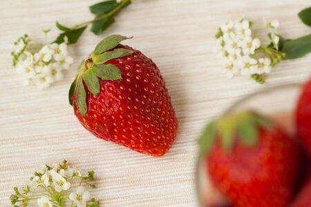 Cottage cheese dessert with strawberry in a glass on a white background. Healthy breakfastの写真素材