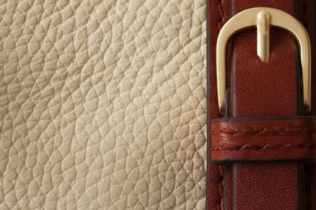 Detail of beige handbag and buckle with space for your text