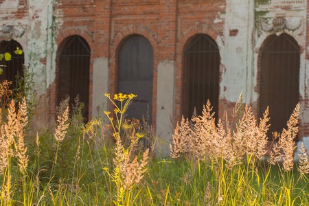 Part of the facade old ruined abandoned castle , brick walls, arched windows, and illuminated by sun in front grass, focus on the grassの写真素材