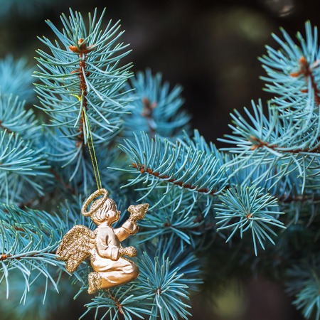 Golden angel with a bird on blue spruce. Place for text. Element for Christmas design. Squareの写真素材